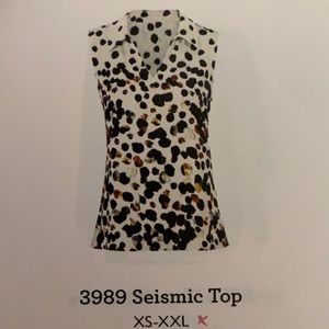 Cabi seismic top 3989